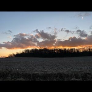 Meet your Posher, Janessa